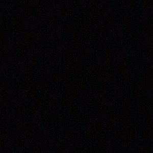 Meet your Posher, Dashawn